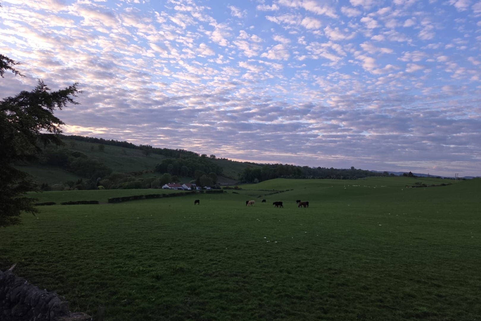 Evening light over the farmland surrounding Ballagan Farm